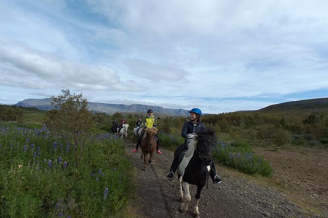 1+ hour Private Horse riding tour from Reykjavík/Mosfellsbær
