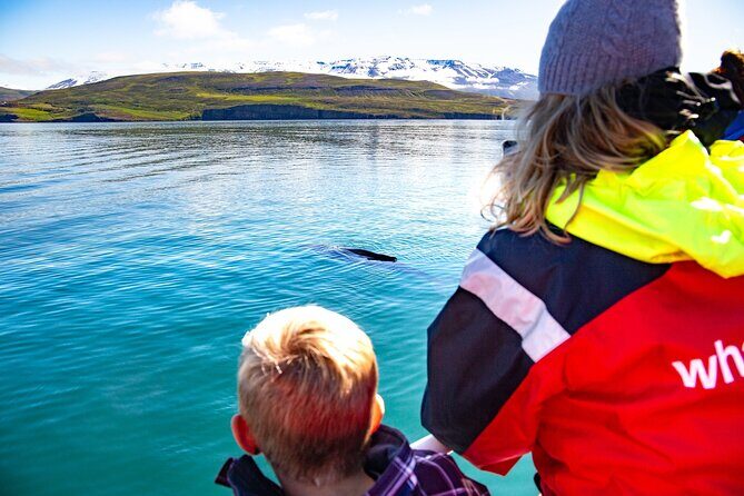 100% Whale Watching - Hauganes to the Whales: Why This Akureyri Trip Feels Different