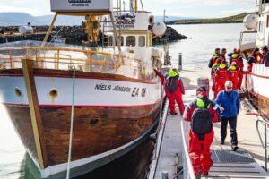 100% Whale Watching - The Boat, the Crew, and the Warm Gear That Actually Matters