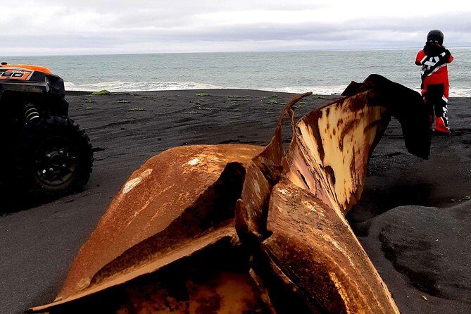 2-Hour Black Sand Beach Buggy Tour from Hella - Who this tour suits best (and who should think twice)