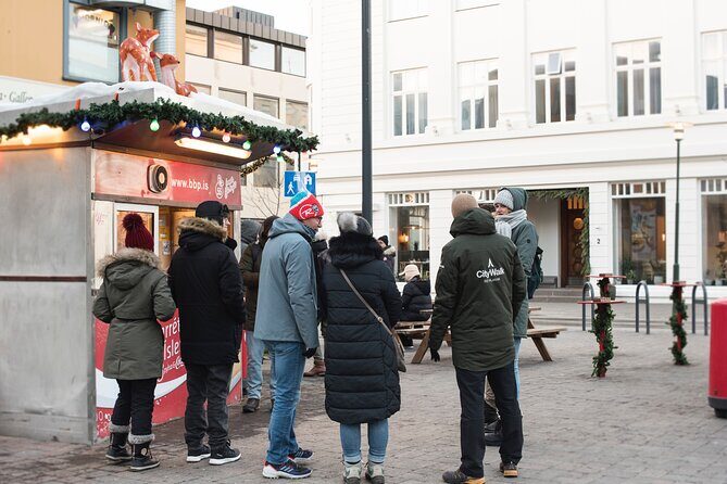 2-Hour Reykjavik Private Walking Tour - A private two-hour walk that gives you Reykjavik context fast