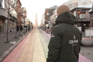 2-Hour Reykjavik Private Walking Tour - Where you start: the pickup that saves real time