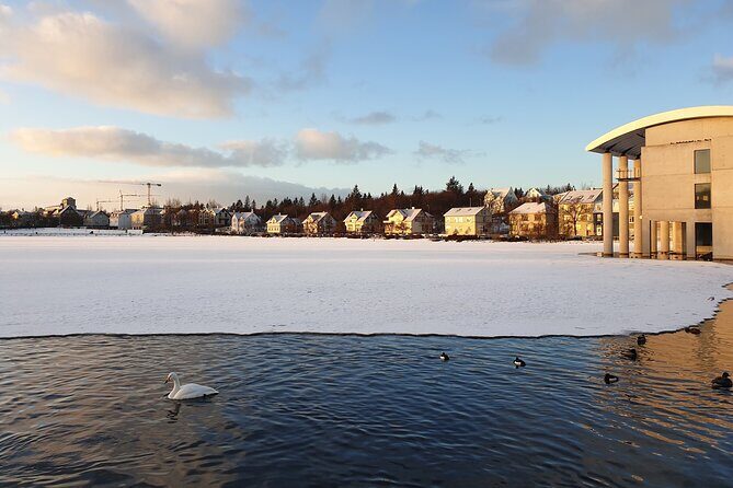 2-Hour Reykjavik Private Walking Tour - Parliament and Dómkirkjan area: the oldest public garden detail