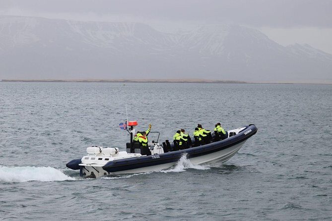 2-Hour RIB Boat Whale Watching Tour from Reykjavik - Key highlights worth planning around