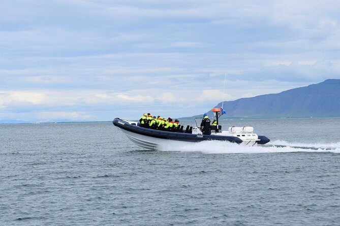 2-Hour RIB Boat Whale Watching Tour from Reykjavik - Safety and comfort: you show up dressed for the ocean