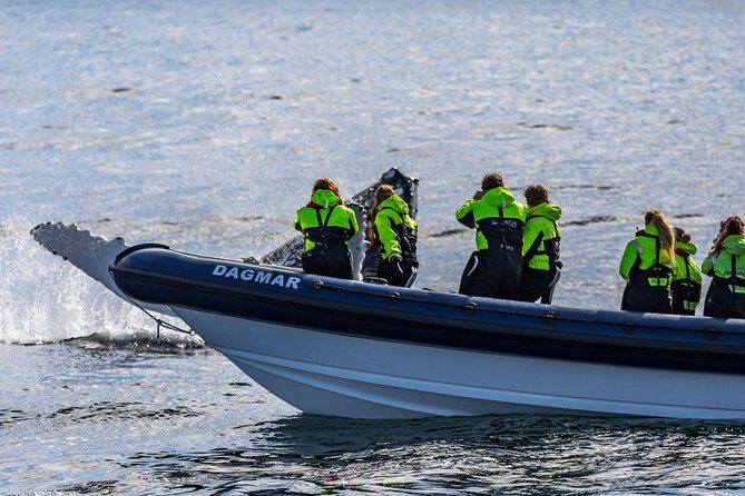 2-Hour RIB Boat Whale Watching Tour from Reykjavik - Price and value: is $189.87 worth it?