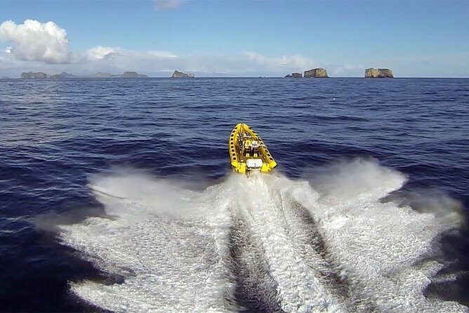 2 hour Round Trip in Vestmannaeyjar on a RIB Boat - Key things to know before you go