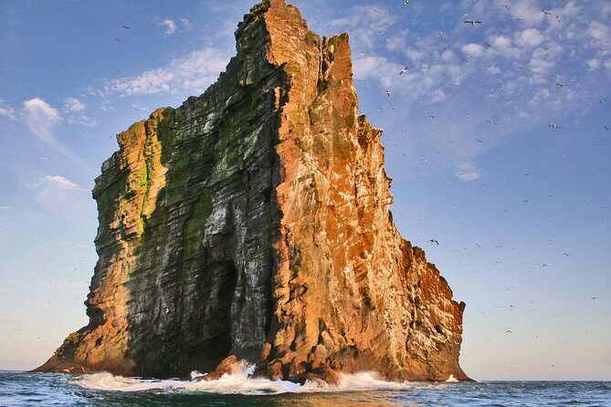 2 hour Round Trip in Vestmannaeyjar on a RIB Boat - Bird watching that’s built around timing and targets