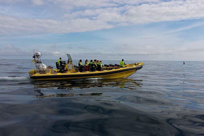 2 hour Round Trip in Vestmannaeyjar on a RIB Boat - What to wear and how to stay comfortable on a windy North Atlantic day