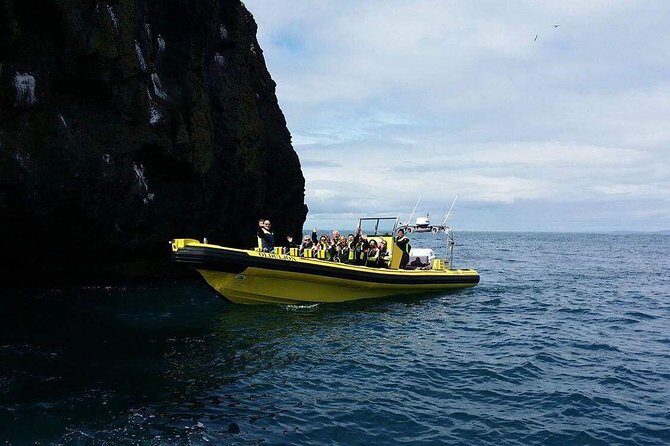 2 hour Round Trip in Vestmannaeyjar on a RIB Boat - Price and value: is $247.39 for 2 hours worth it?
