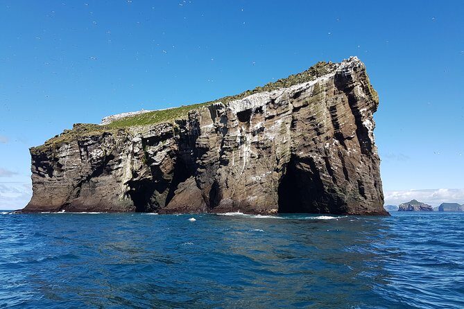 2 hour Round Trip in Vestmannaeyjar on a RIB Boat - Should you book Ribsafari in Vestmannaeyjar?