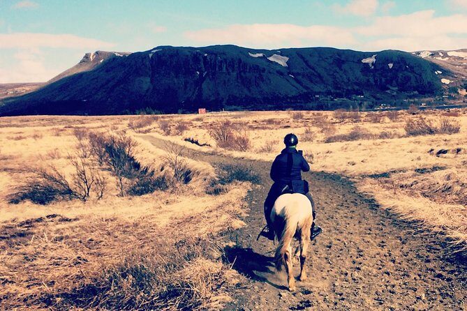 2 hours Private Horse Riding to Lake Hafravatn, Reykjavík - Mos - Key Things That Make This Tour Work