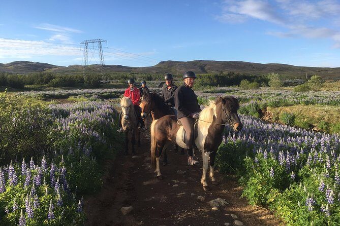 2 hours Private Horse Riding to Lake Hafravatn, Reykjavík - Mos - Getting Started at the Stable in Mosfellsbær