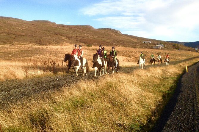 2 hours Private Horse Riding to Lake Hafravatn, Reykjavík - Mos - What Makes Icelandic Horses Special on This Ride