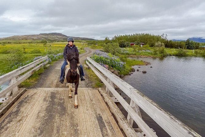 2 hours Private Horse Riding to Lake Hafravatn, Reykjavík - Mos - Price and Value: Is $210.26 Per Person Reasonable?