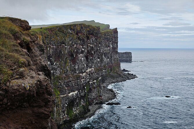 3-Day Wild and Wonderful Tour of Westfjords - Small Group Tour - Day 1: Vikings at Eiriksstaðir, then cliff birds at Látrabjarg