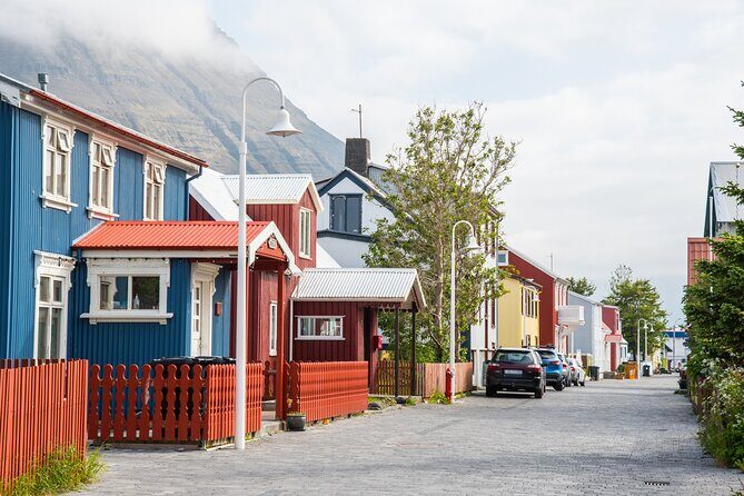 3-Day Wild and Wonderful Tour of Westfjords - Small Group Tour - Wildlife and weather: how to set expectations for arctic foxes, seals, and birds