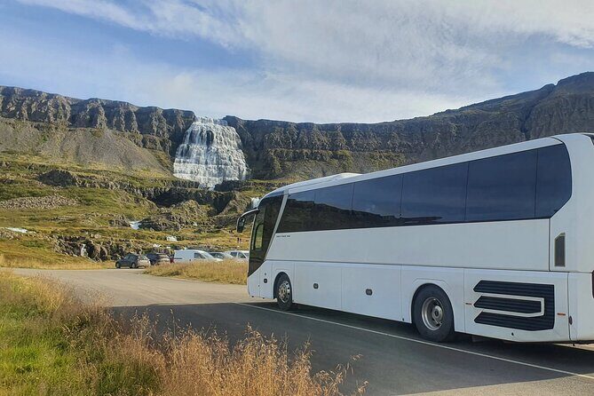 3,5-Hour Sightseeing Tour To Dynjandi Waterfall - Dynjandi on your feet: how to use your 90 minutes