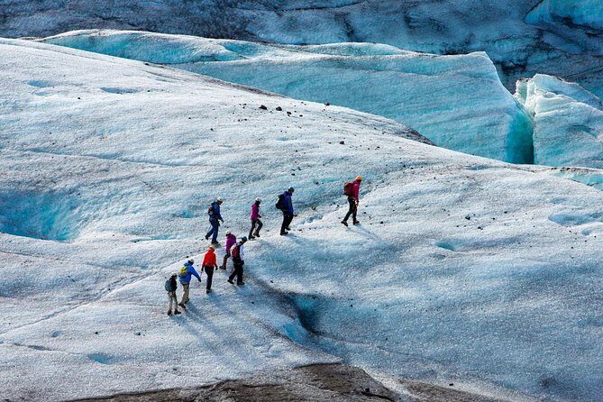 4, 5, 6 or 7-Day Small-Group Ring Road Tour from Reykjavik - Day 4: Akureyri, Hvitserkur, turf churches, and optional whale watching