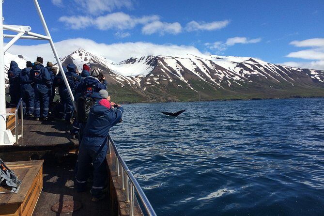 7-Day Complete Iceland: South Coast, Golden Circle, Akureyri & Snaefellsnes - Day 4 Mývatn geothermal circuit: hot springs, lava fields, a crater, then a soak
