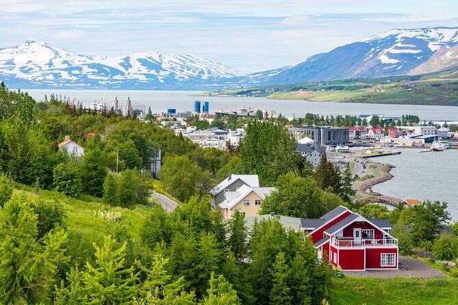 7-Day Small Group Journey Around Iceland - Day 4: Eastfjords to Höfn—Quiet Fjords and Wild Reindeer Energy