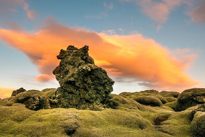 8-Day Summer Ring Route of Iceland with Snaefellsnes Peninsula - Day 2: Seljalandsfoss, Skógafoss, Reynisfjara—and the Katla ice cave