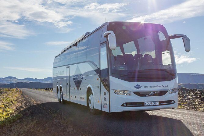 Airport Express Shared Arrival Transfer from Keflavik Airport to Reykjavik Hotels - Reykjavik Terminal to Your Hotel Area: Shuttles, Minibuses, and Walks