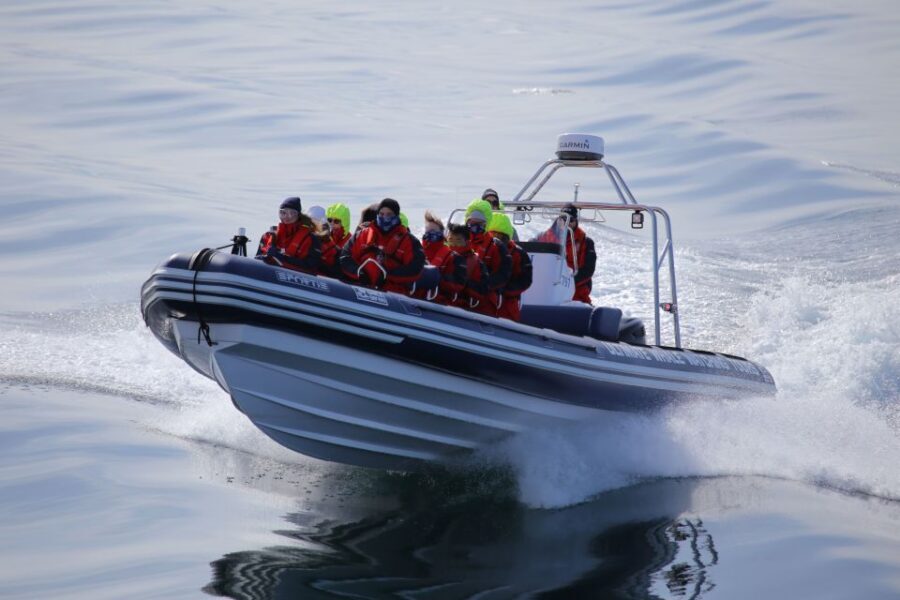 Akureyri: 2-Hour Whale Watching Express by RIB Speedboat - Tips to get better sightings and better photos