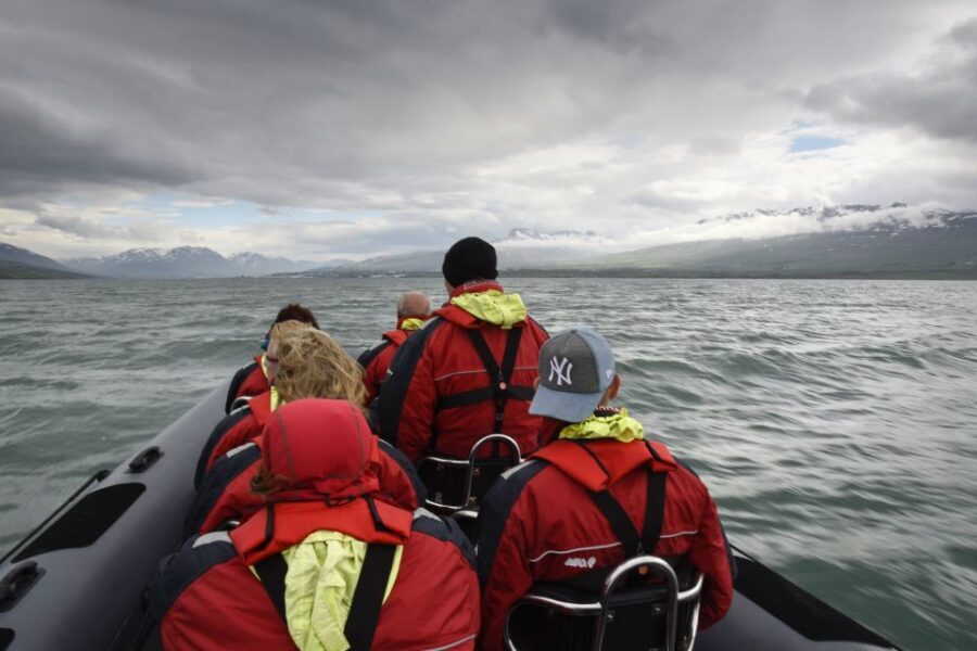 Akureyri: 2-Hour Whale Watching Express by RIB Speedboat - Choosing your day: weather changes can affect the trip