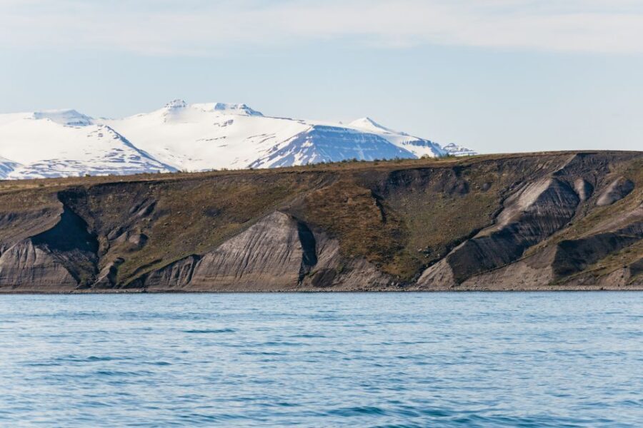 Akureyri: 3-Hour Classic Whale Watching Tour by Ship - The guide system: spotting, explaining, and staying at the right distance
