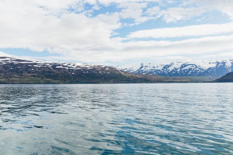 Akureyri: 3-Hour Classic Whale Watching Tour by Ship - How the 2.5 to 3.5 hours feel in real time
