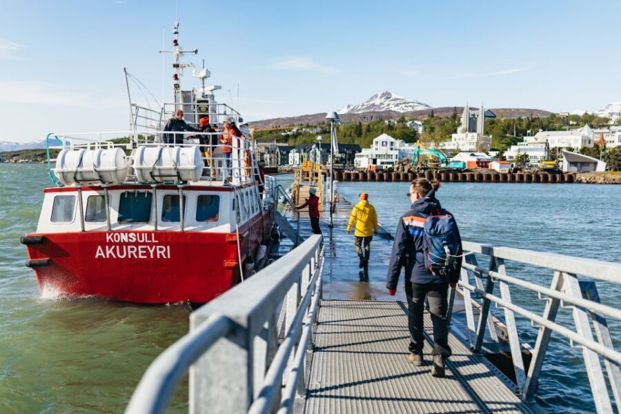 Akureyri: 3-Hour Classic Whale Watching Tour by Ship - Price and value: is $108 worth it?