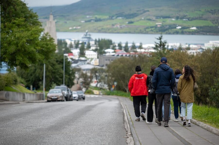 Akureyri: City Walk with Local Food - Price and Value: What $135 Covers (and What You Get Back)