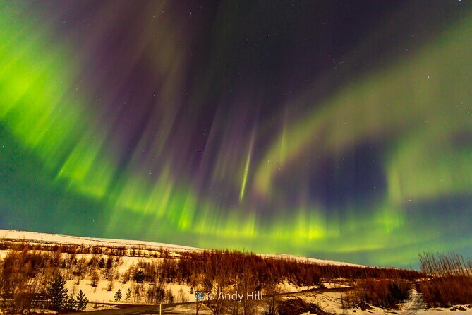 Akureyri Northern Light Tour - Pickup, Timing, and the Traveling Viking Van-Search for Darkness