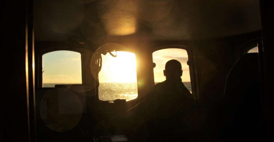 Akureyri: Whale Watching in the Midnight Sun - Key highlights before you go