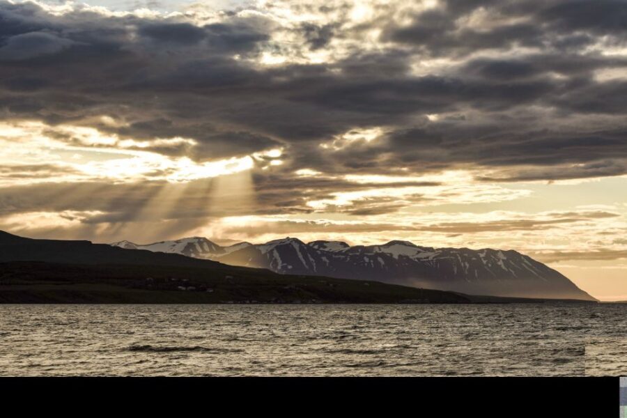 Akureyri: Whale Watching in the Midnight Sun - Price and value: is $101 worth it?