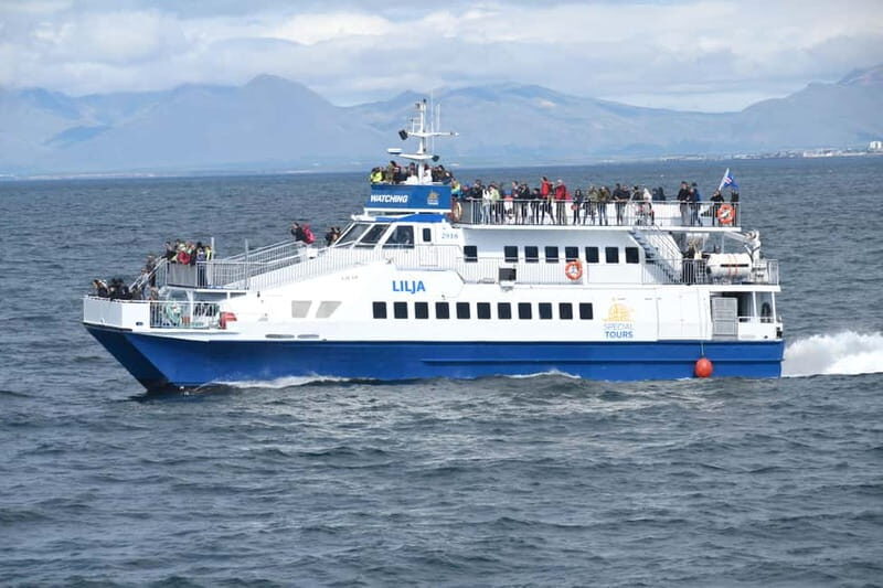 Akureyri: Whale Watching Shore Excursions - Who Should Book This Akureyri Whale Watching Cruise