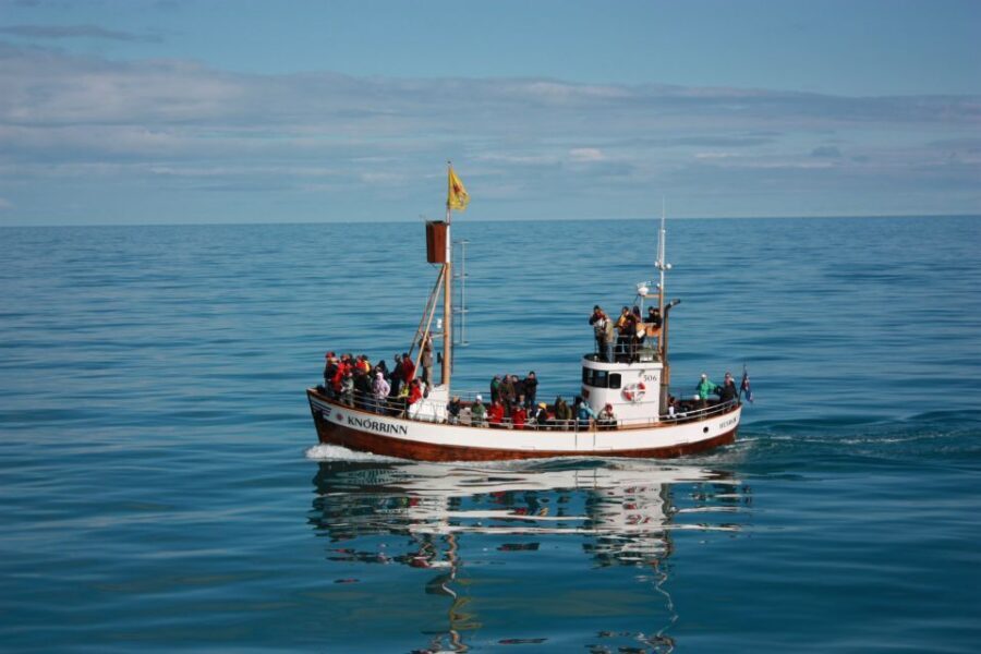 Árskógssandur: Whale-Watching Boat Trip - Value For $96: What You’re Paying For