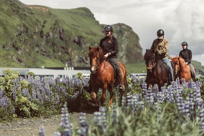 Black Sand Beach Horse Riding Tour from Vik - Key highlights you’ll care about