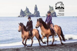 Black Sand Beach Horse Riding Tour from Vik - Vik Horse Adventure: small-group energy and a smooth start