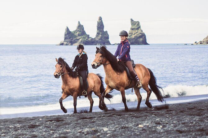 Black Sand Beach Horse Riding Tour from Vik - What to expect from the horses (and why it matters)