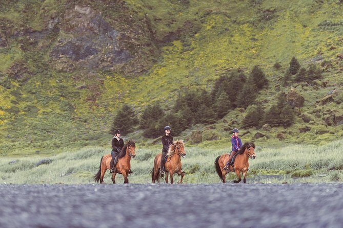 Black Sand Beach Horse Riding Tour from Vik - Weather reality: wind can change the plan fast