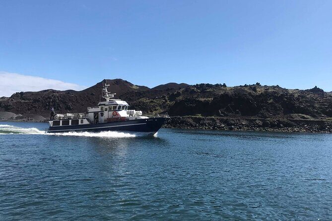 Boat Tour in Vestmannaeyjar - Why a Rib Safari Loop Around Heimaey Feels Special