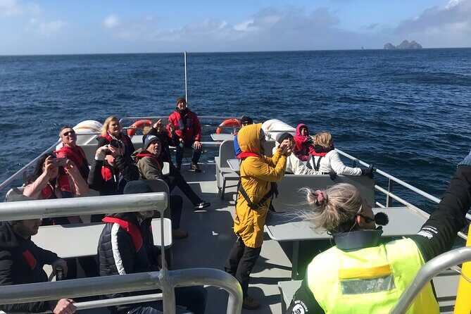 Boat Tour in Vestmannaeyjar - The Heimaey Circuit: Sea Cave, Lava Views, and Elephant Rock