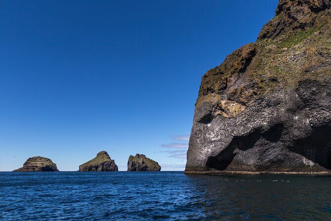 Boat Tour in Vestmannaeyjar - Wildlife Time: Puffins, Seabirds, and When Orcas Steal the Show