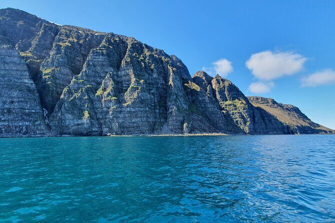 Boat Tours from Siglufjörður - Key highlights you’ll care about before you book