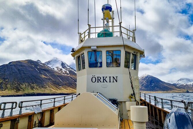 Boat Tours from Siglufjörður - Héðinsfjörður stories and the big finish at Hvanndalabjarg
