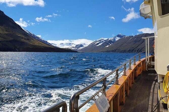 Boat Tours from Siglufjörður - Timing, timing, timing: 2.5 hours that stays enjoyable