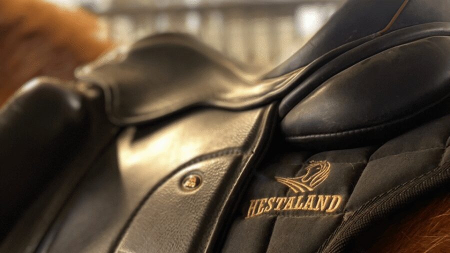 Borgarnes: Horseback Riding Tour with Prep Lesson - Key Things to Know Before You Saddle Up