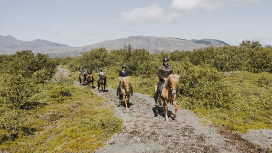 Borgarnes: Horseback Riding Tour with Prep Lesson - Hestaland in Borgarnes: Where the Tour Starts and How It Runs